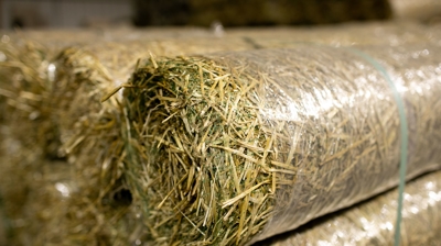 Erosion Control Photo