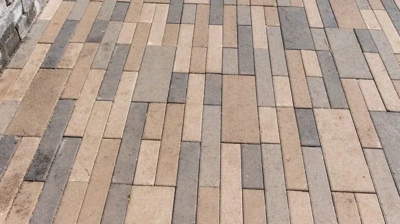 Borgert Bulovar Max Photo